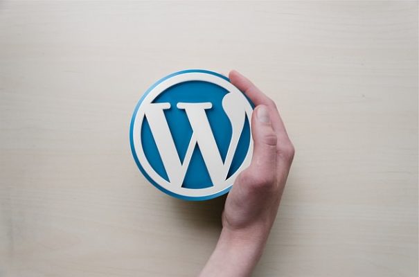 guida introduttiva wordpress